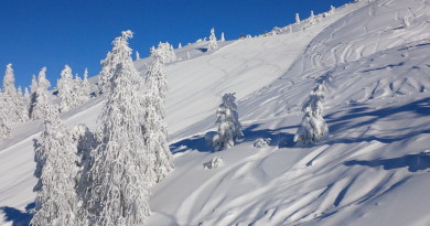 Offerta Natale e Capodanno