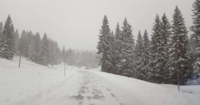 È arrivata la neve! Altopiano di Asiago imbiancato